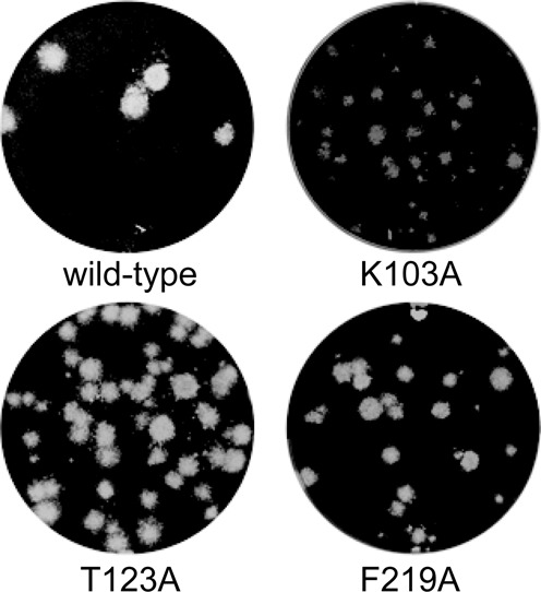 Figure 10.