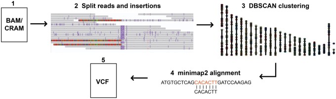 Figure 1.