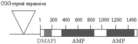 Figure  6. 