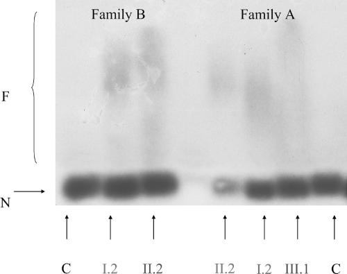 Figure  4. 