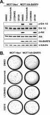 FIG. 7.