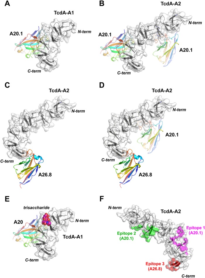 FIGURE 4.