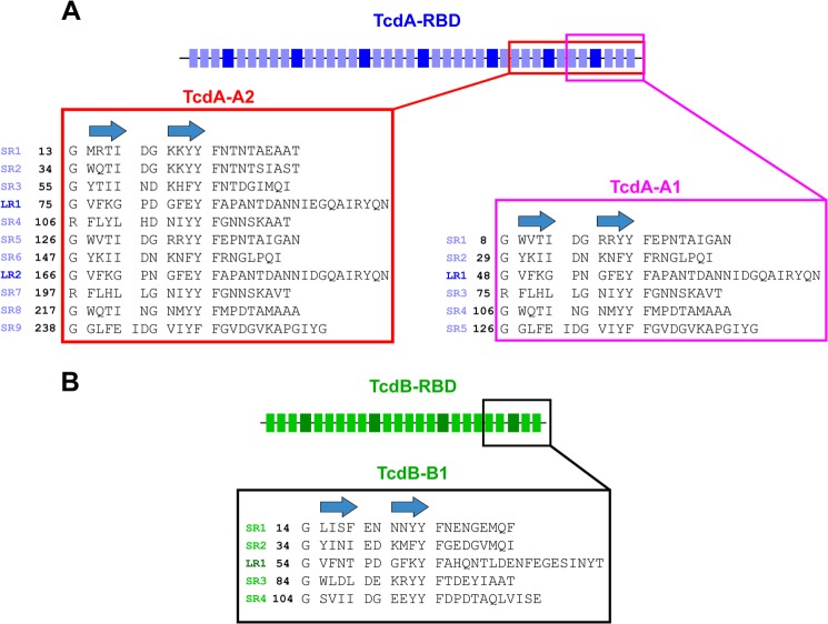 FIGURE 1.