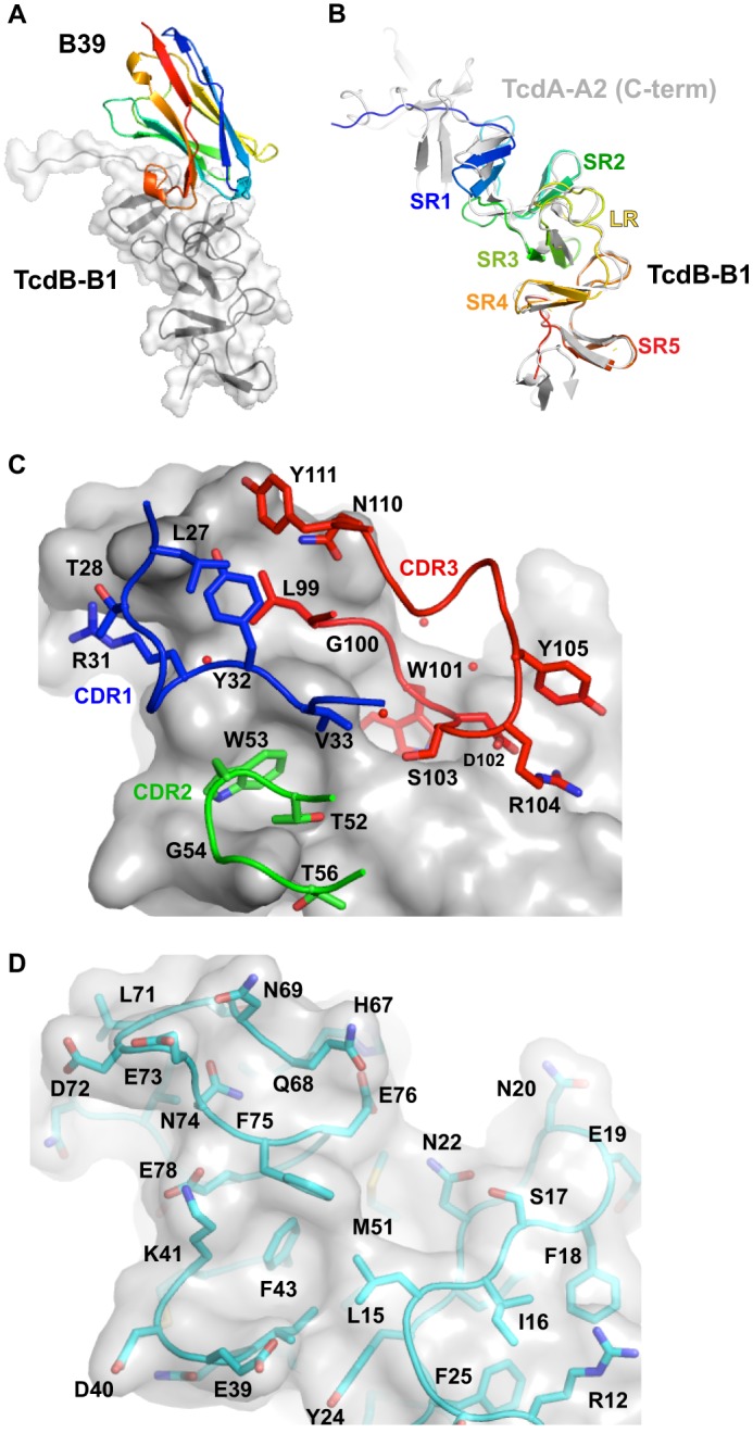 FIGURE 6.