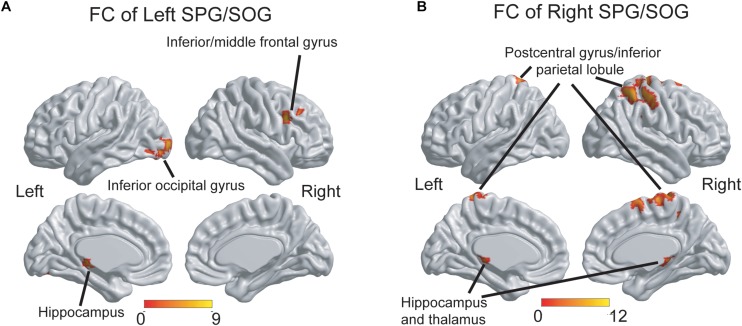 FIGURE 3