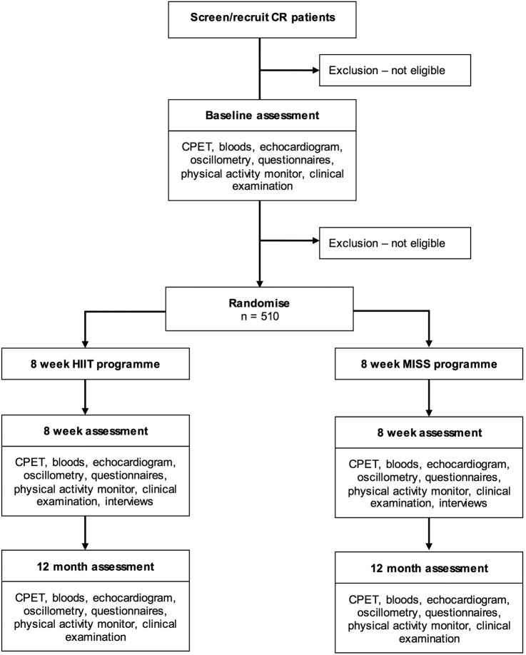 Figure 1