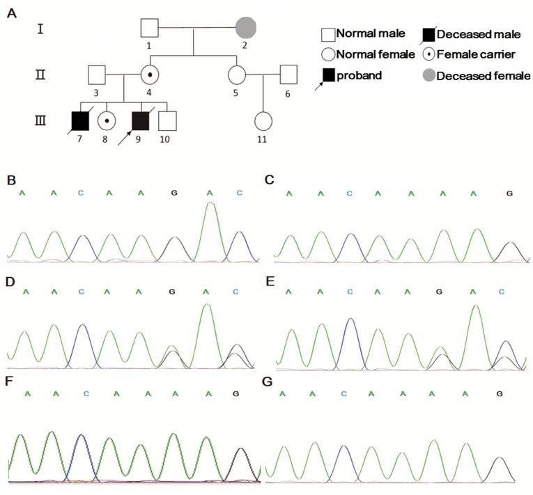 Figure 3.