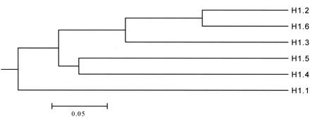 FIG. 8.