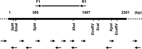 Fig. 1.