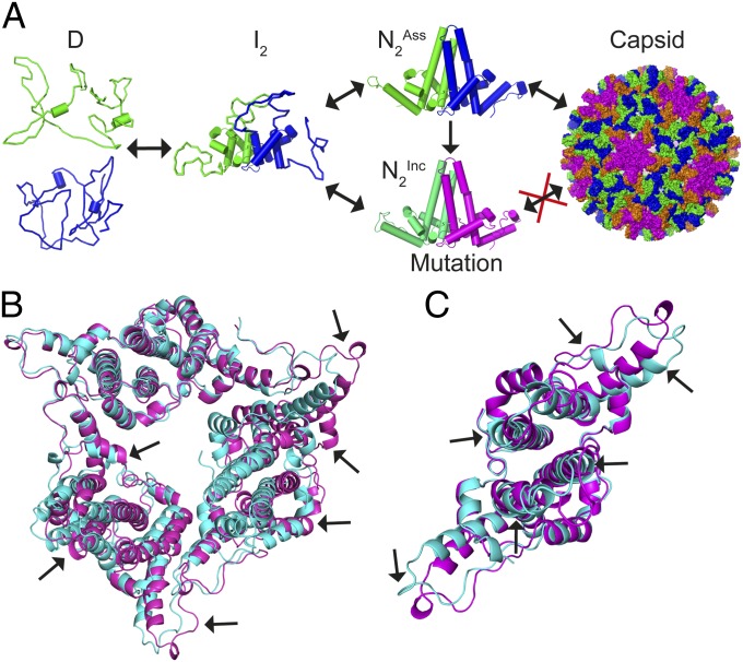 Fig. 6.