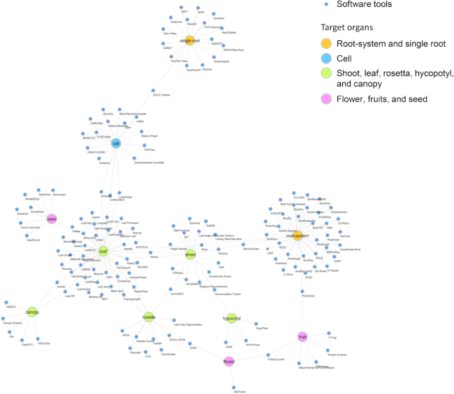 Figure 2: