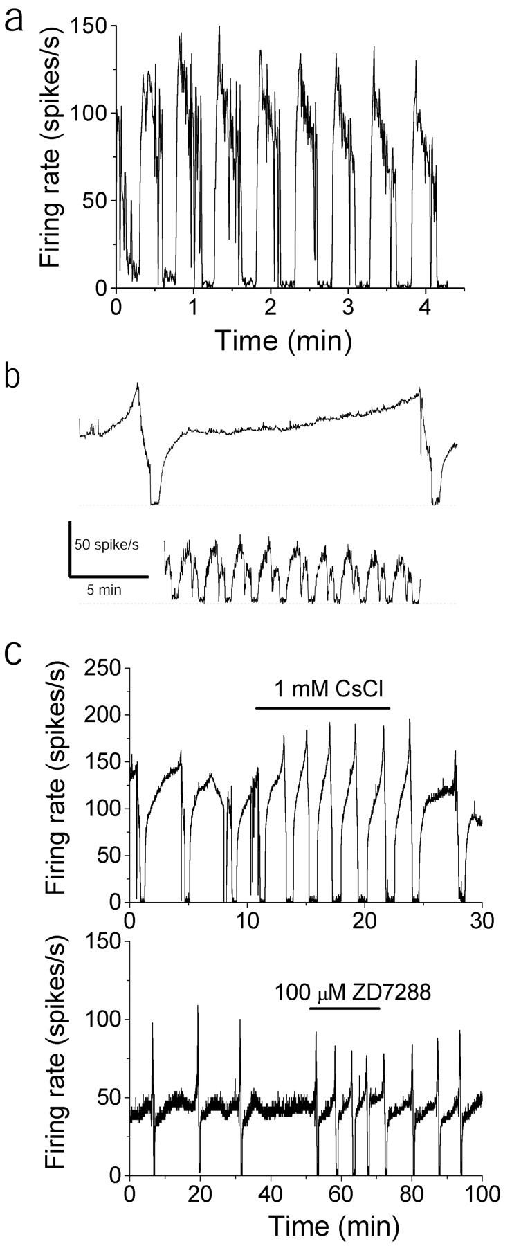 Fig. 5.