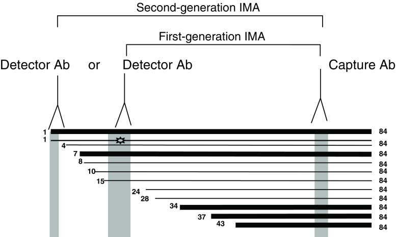 Fig. 1