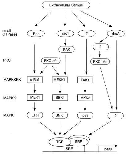 FIG. 6