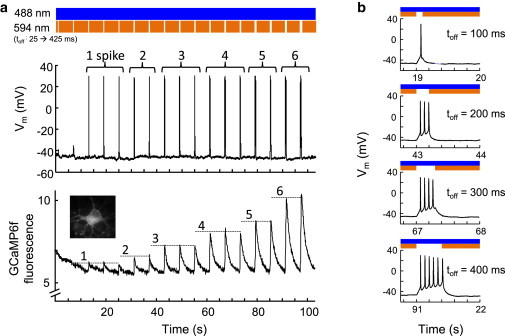 Figure 7