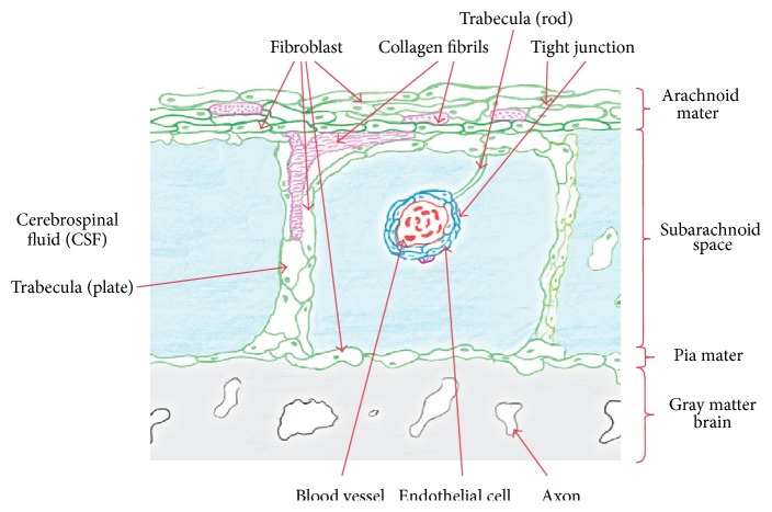 Figure 15