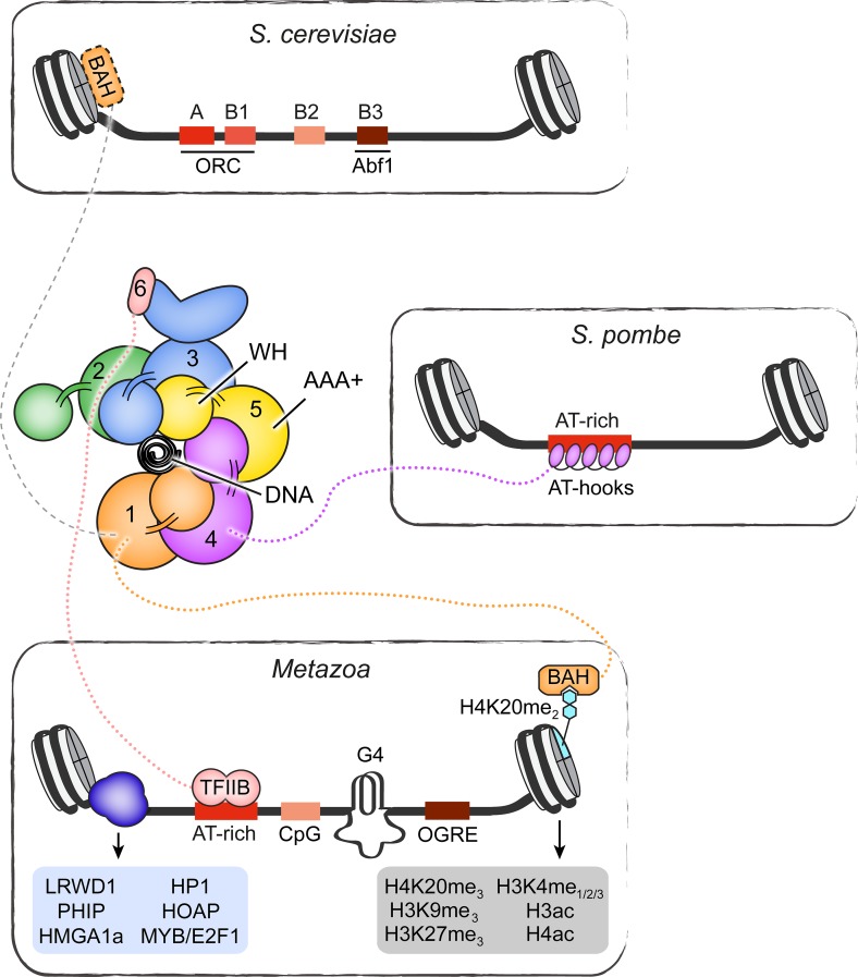 Fig 4