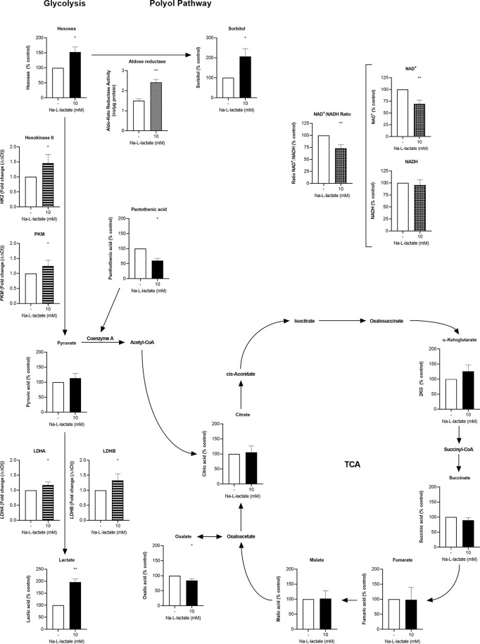 Figure 3