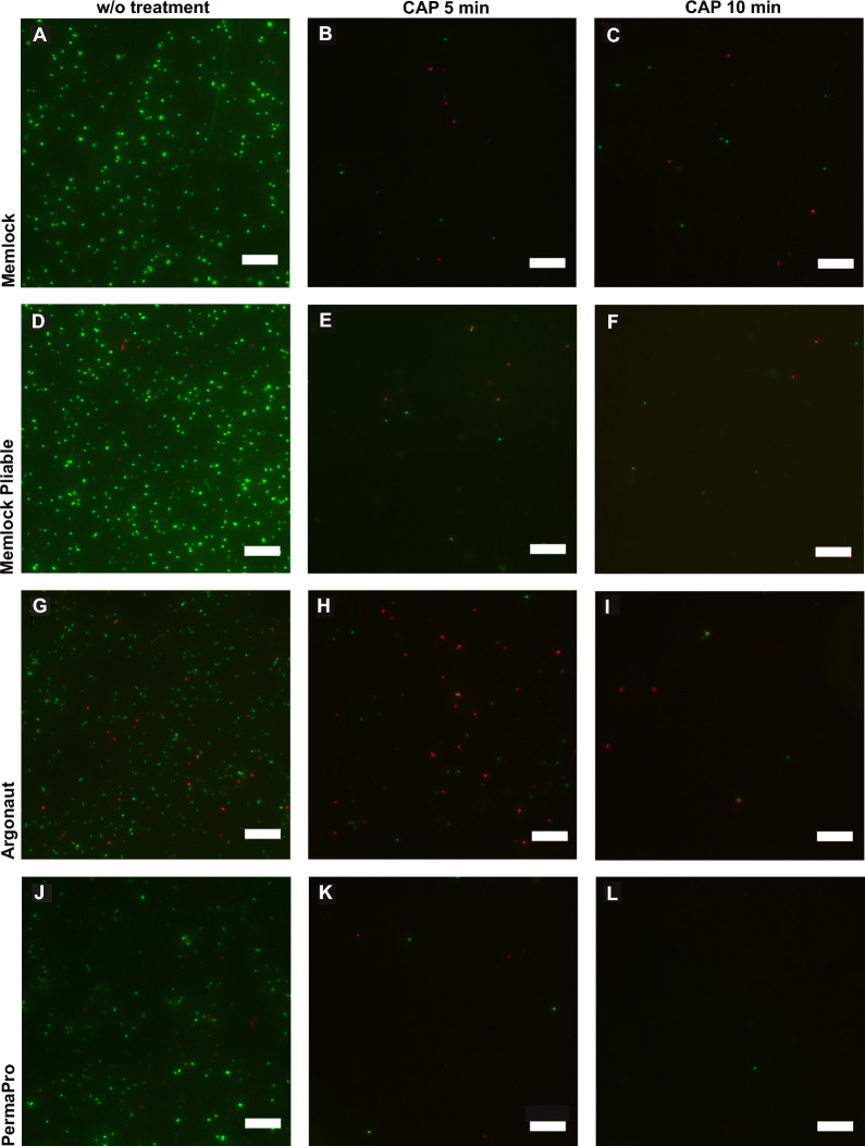 Fig. 3