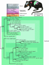 Fig. 3.