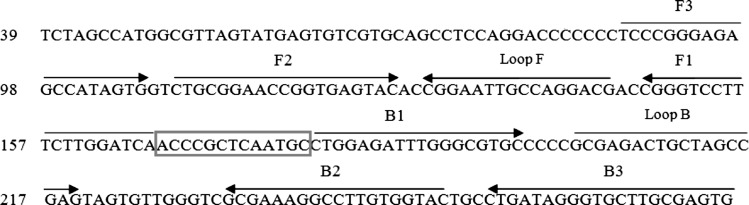 Fig. 1