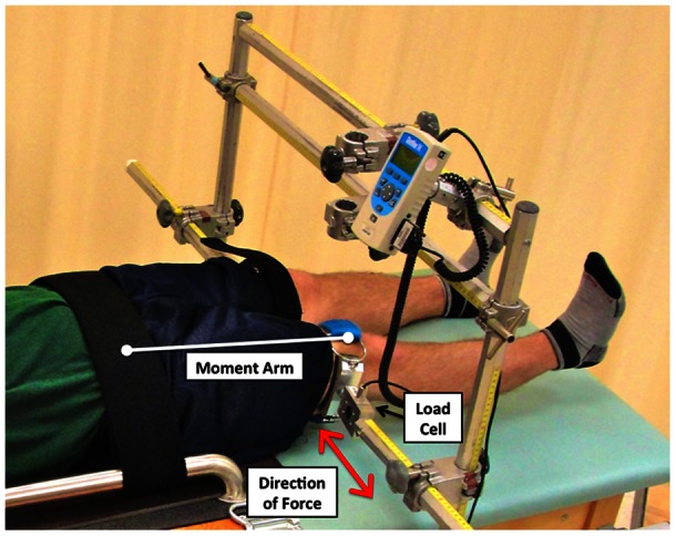 Figure 2.