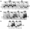 FIG. 7.