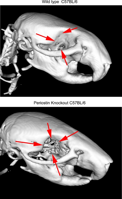 Fig. 4