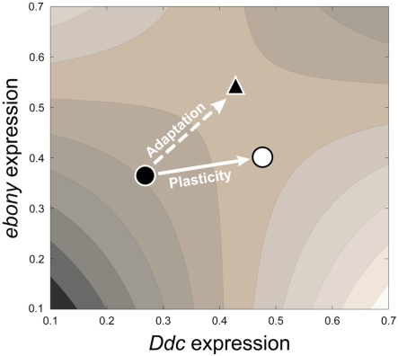 Fig. 2.