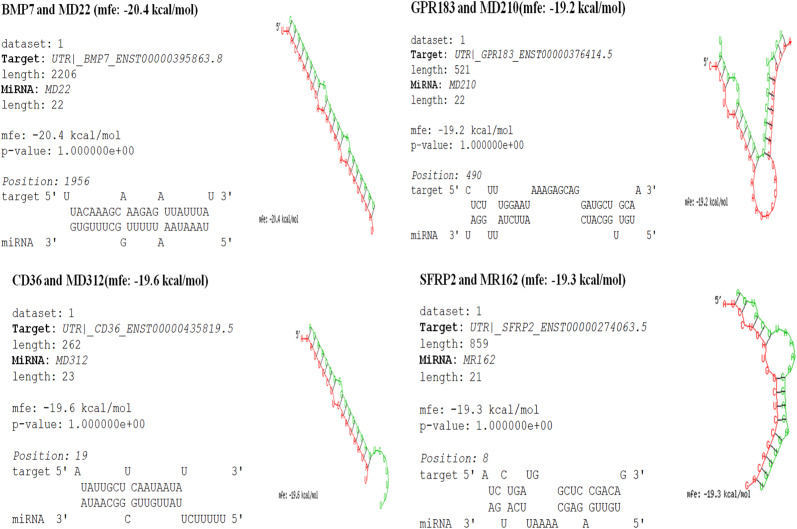 Fig. 10