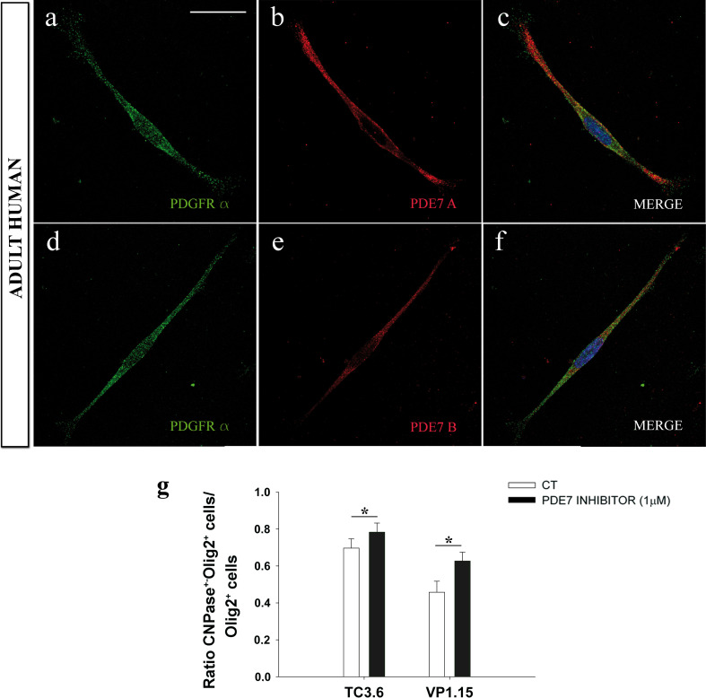 Fig. 7