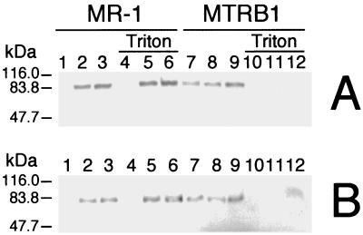 FIG. 8.