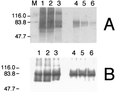 FIG. 9.