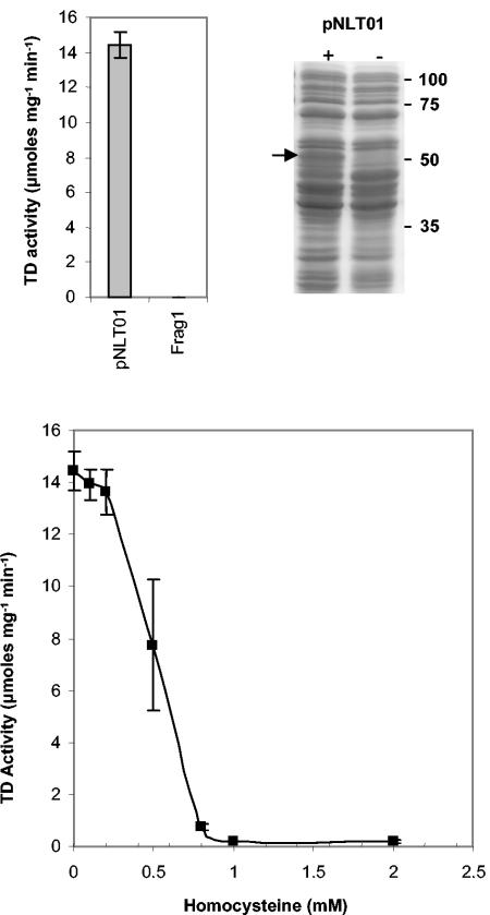 FIG. 9.