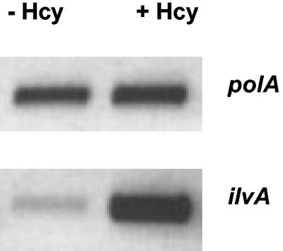 FIG. 8.