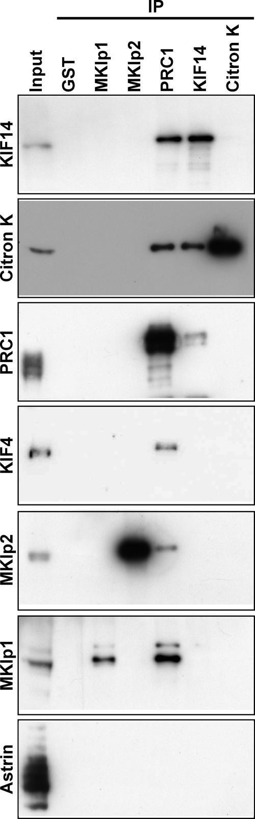 Figure 6.