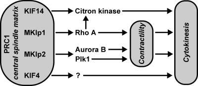 Figure 9.