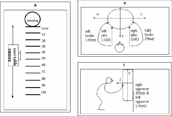 Figure 1 A-C. A)