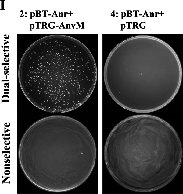 FIG 2I