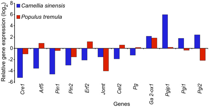 Figure 5