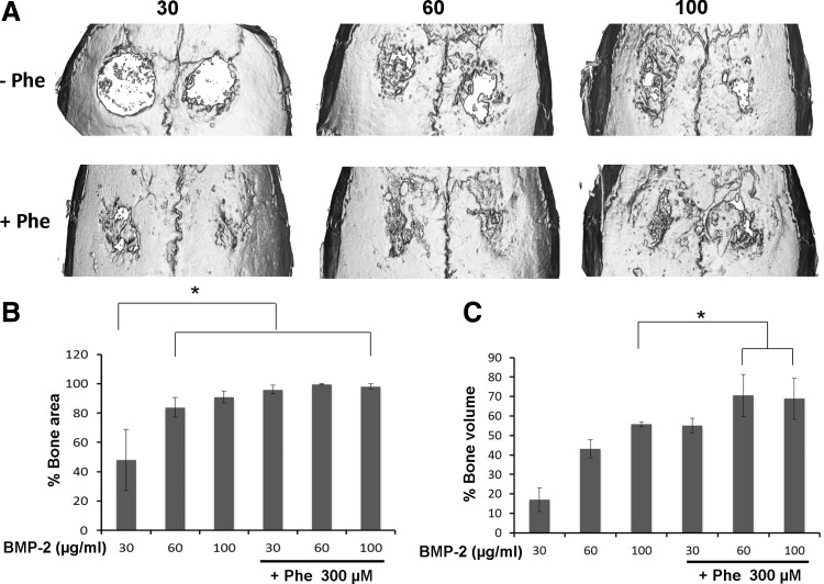 FIG. 9.