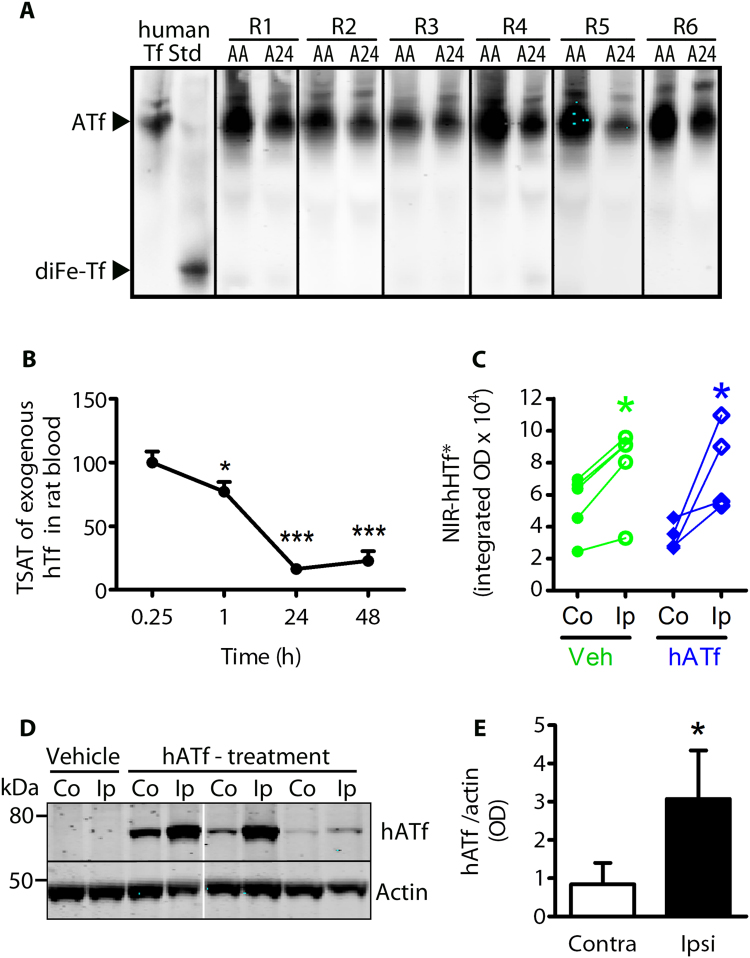 Fig. 7: