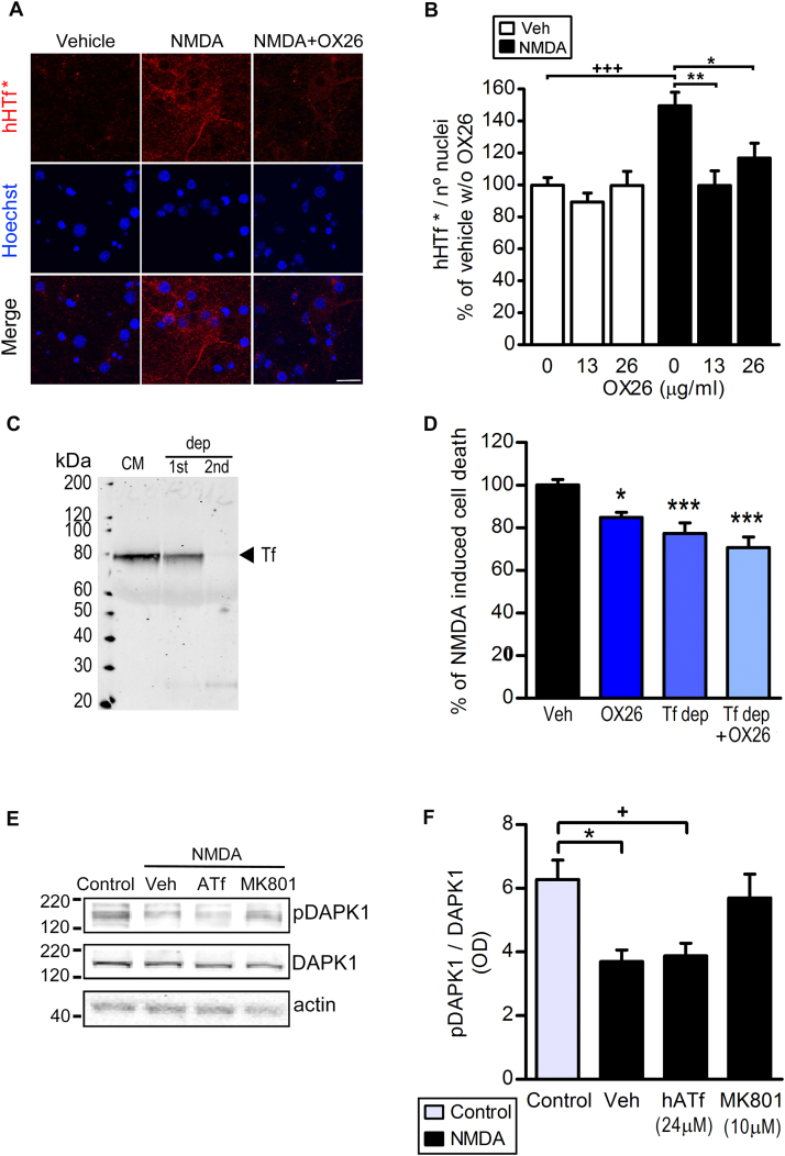 Fig. 9: