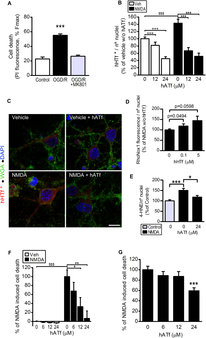 Fig. 8: