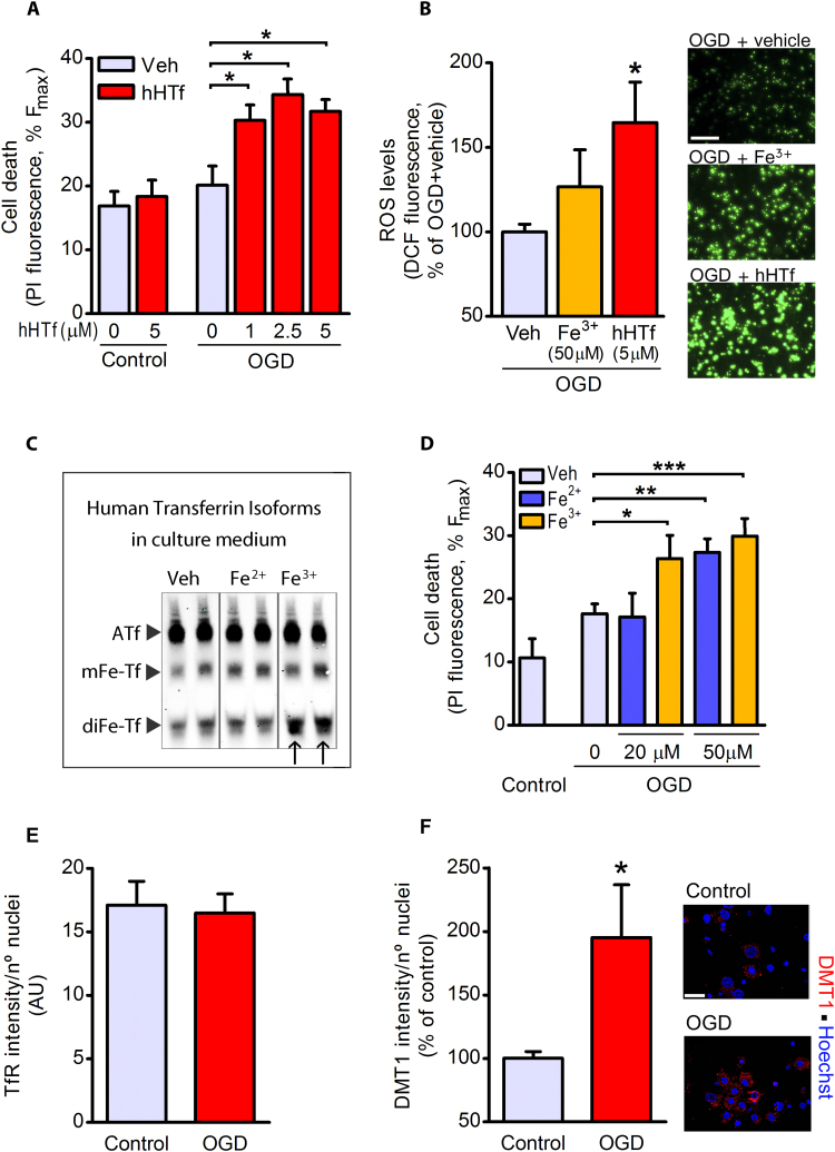 Fig. 2: