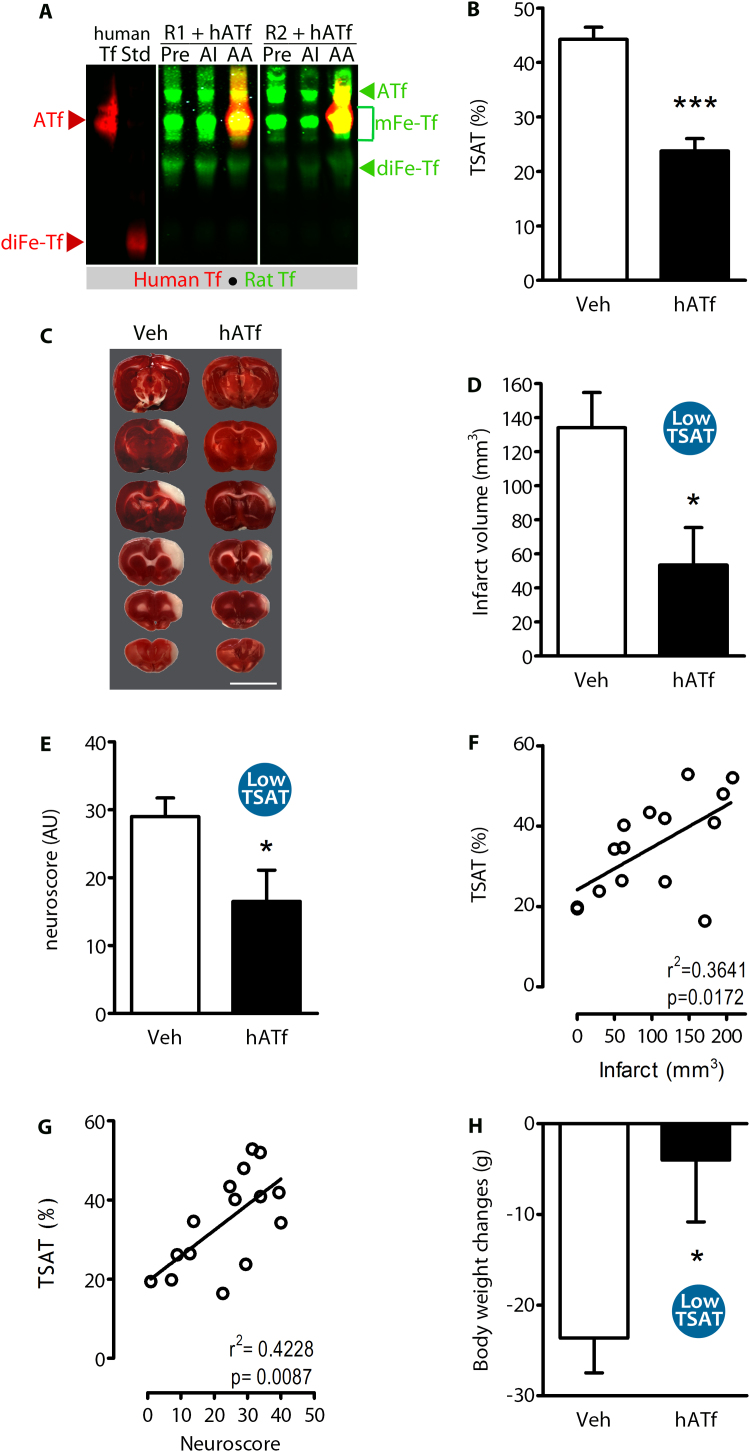 Fig. 6: