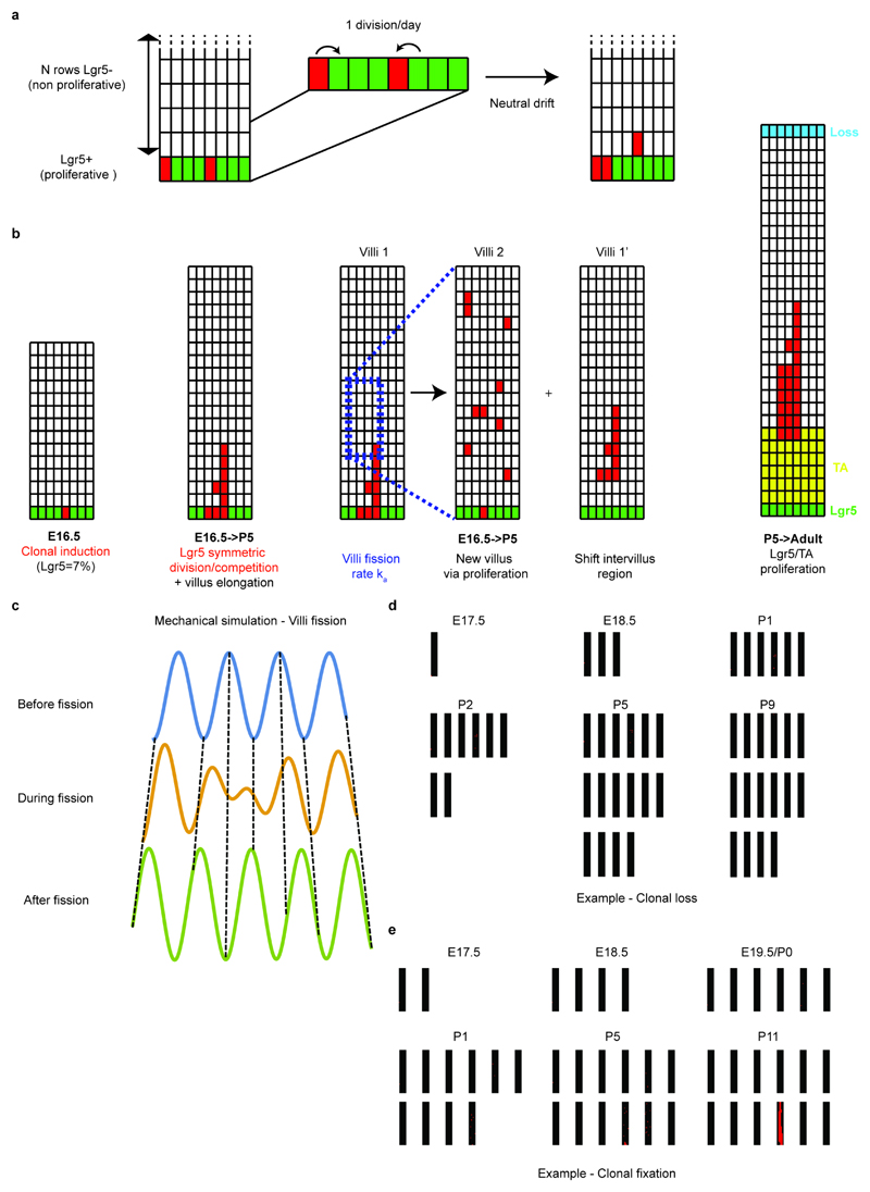 Extended Data Figure 5