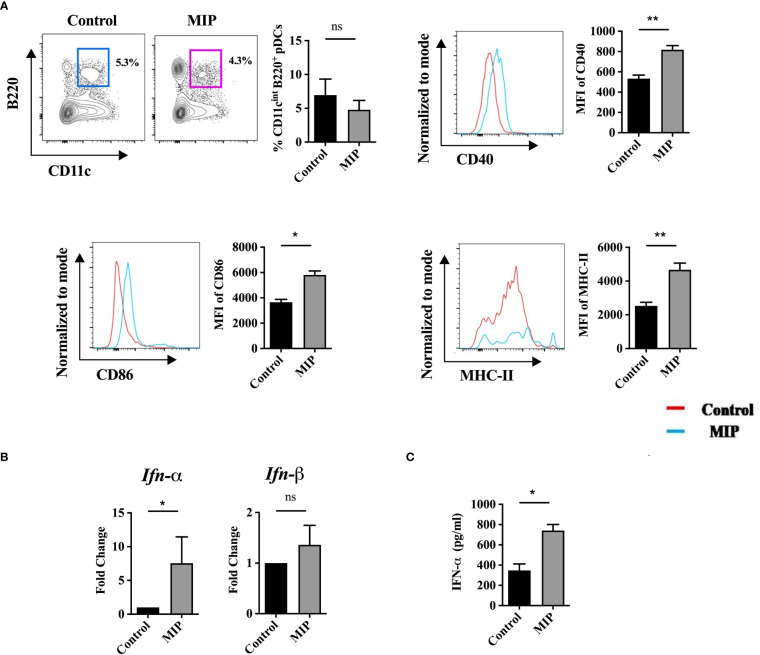 Figure 4