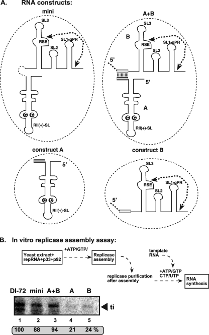 Fig 5