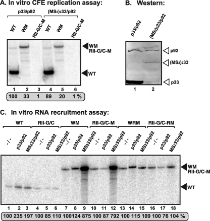 Fig 9